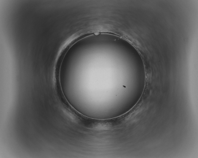 X0000111210248200907081307