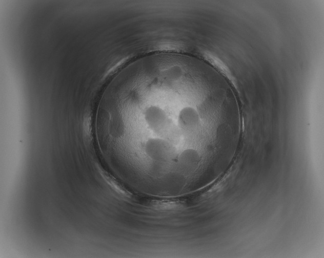 X0000111210249200907081307