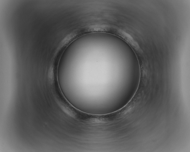 X0000111210250200907081307