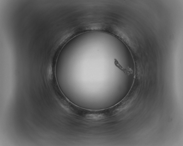 X0000111210251200907081307