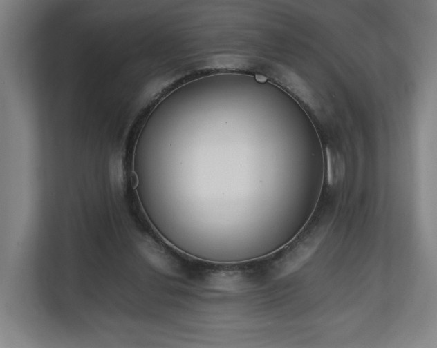 X0000111210252200907081307