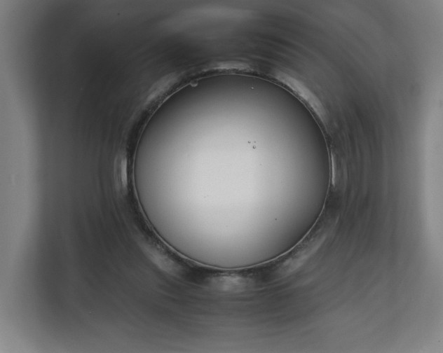 X0000111210253200907081307