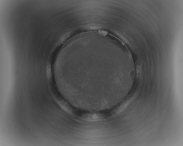 X0000111210254200907081307