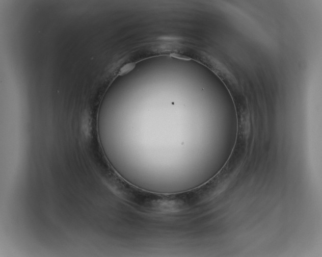 X0000111210255200907081307