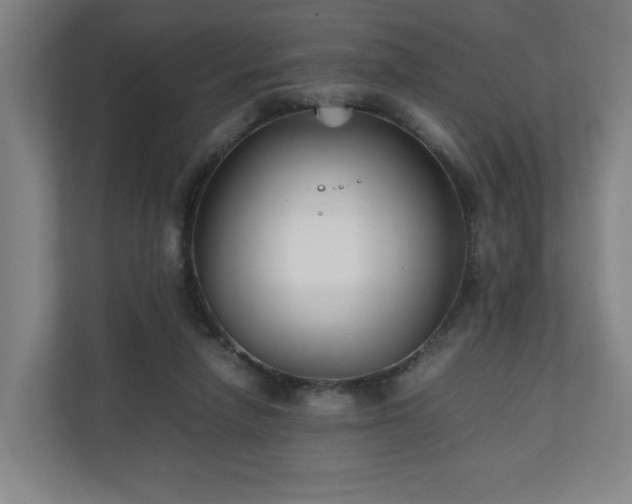 X0000111210258200907081307