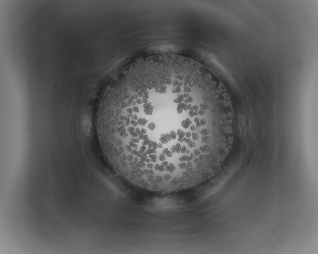 X0000111210259200907081307