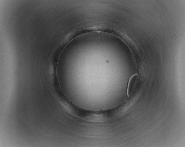 X0000111210260200907081307