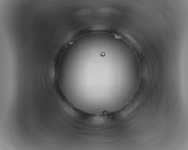 X0000111210261200907081308