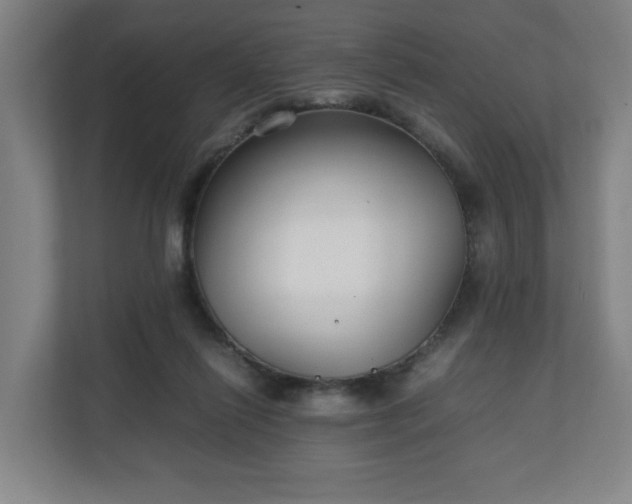 X0000111210262200907081308