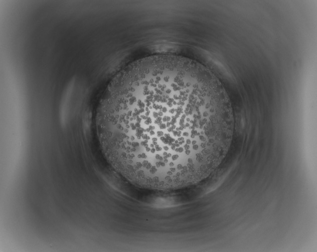 X0000111210263200907081308