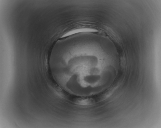 X0000111210267200907081308