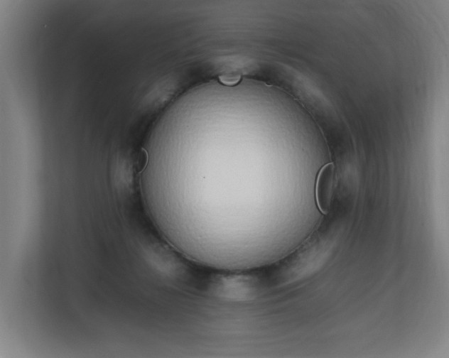 X0000111210268200907081308