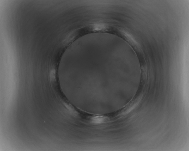 X0000111210269200907081308