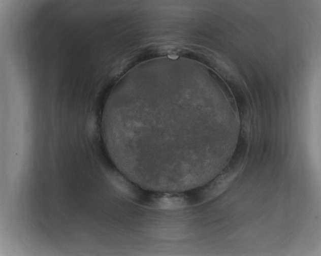 X0000111210270200907081308