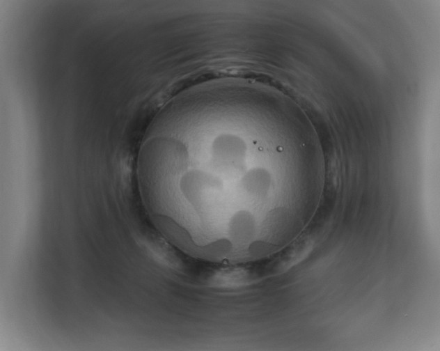 X0000111210271200907081308