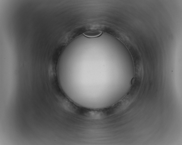 X0000111210272200907081308