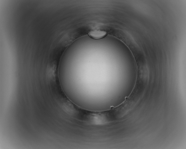 X0000111210275200907081308