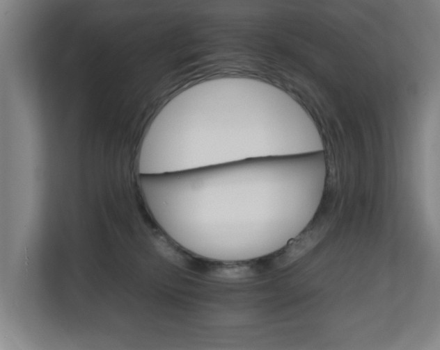 X0000111210278200907081308