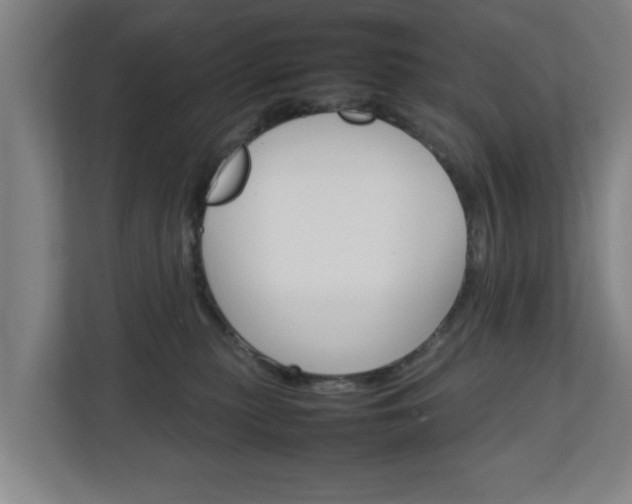 X0000111210279200907081308