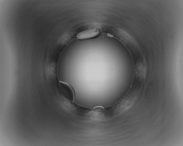 X0000111210280200907081308