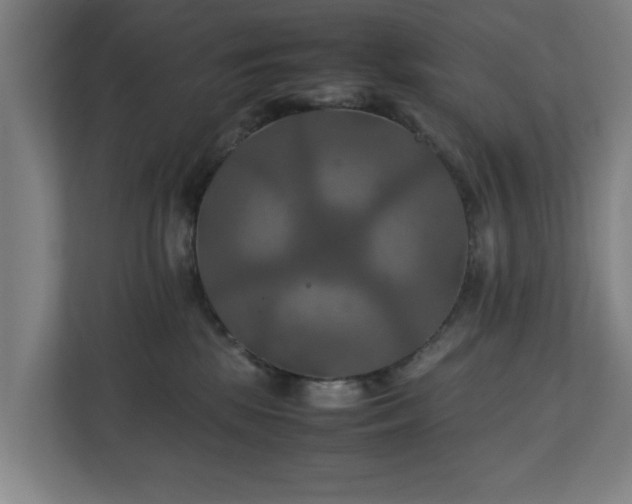 X0000111210281200907081308