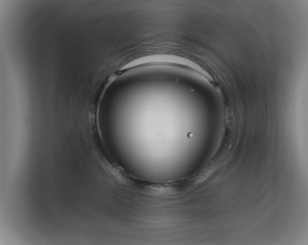 X0000111210284200907081308