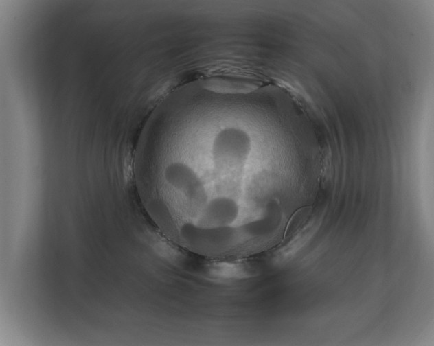 X0000111210285200907081308