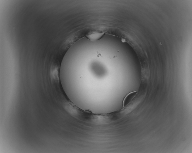 X0000111210286200907081308