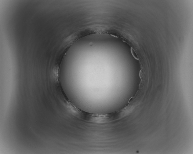 X0000111210288200907081308