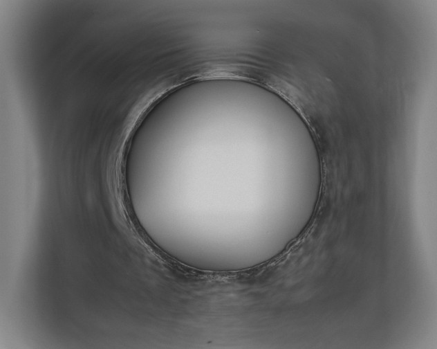 X0000111210289200907081307