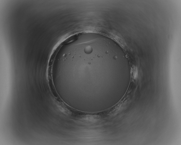 X0000111210292200907081307