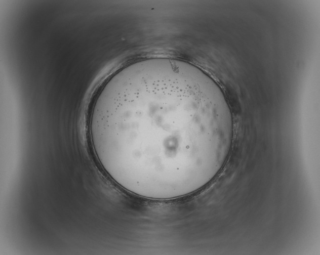 X0000111210293200907081307