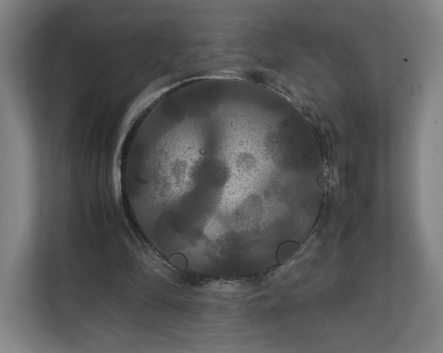 X0000111210294200907081307