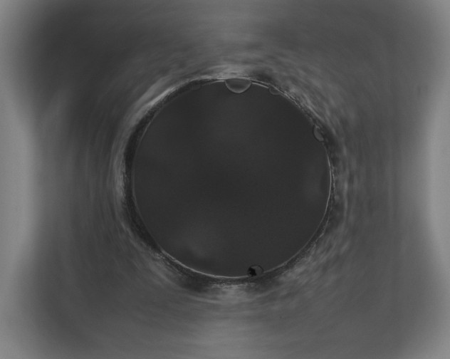 X0000111210295200907081307