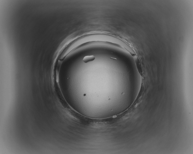 X0000111210296200907081307