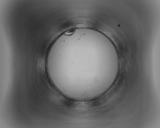 X0000111210297200907081307