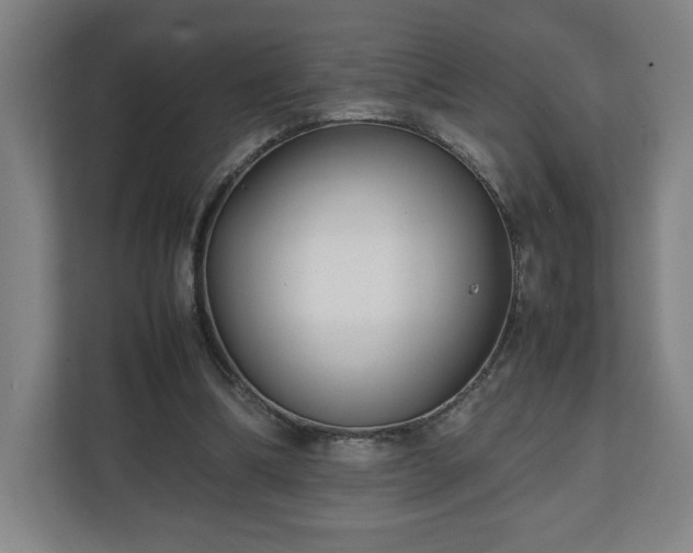 X0000111210298200907081307