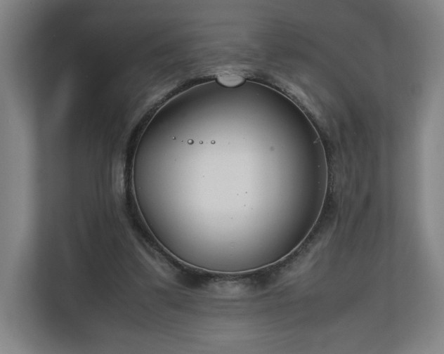 X0000111210299200907081307