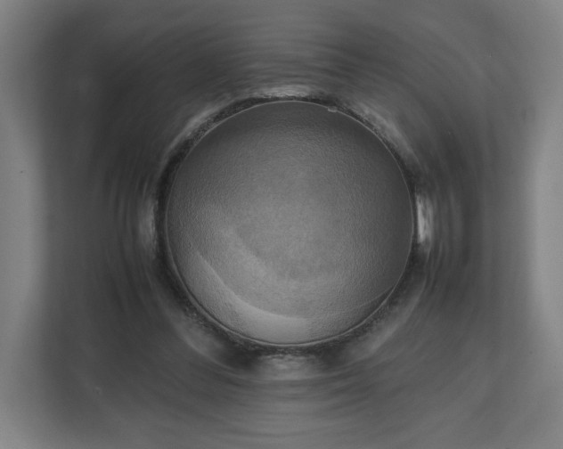 X0000111210300200907081307