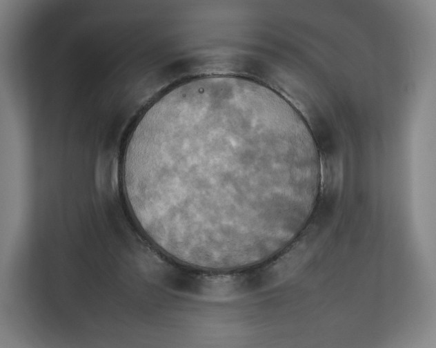 X0000111210301200907081307