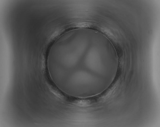 X0000111210303200907081307