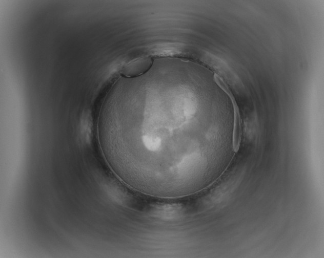 X0000111210304200907081307