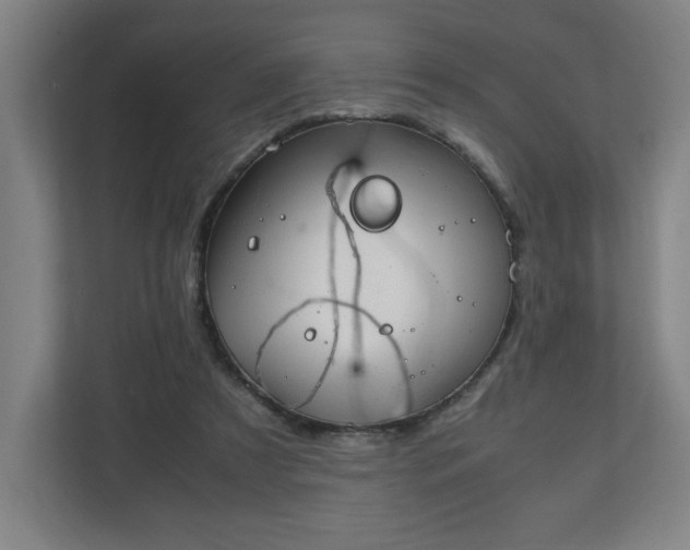 X0000111210305200907081307