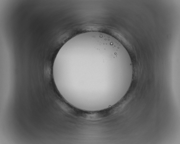 X0000111210309200907081307