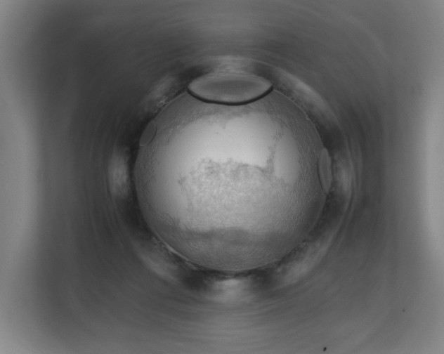 X0000111210312200907081307