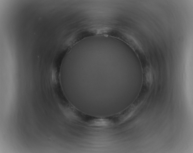 X0000111210316200907081307