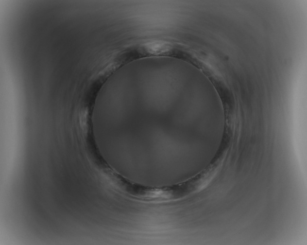 X0000111210319200907081307