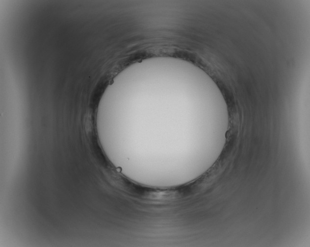 X0000111210323200907081307