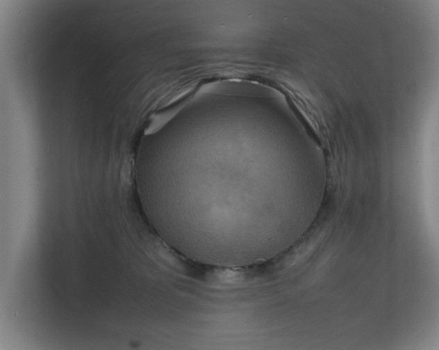 X0000111210325200907081307