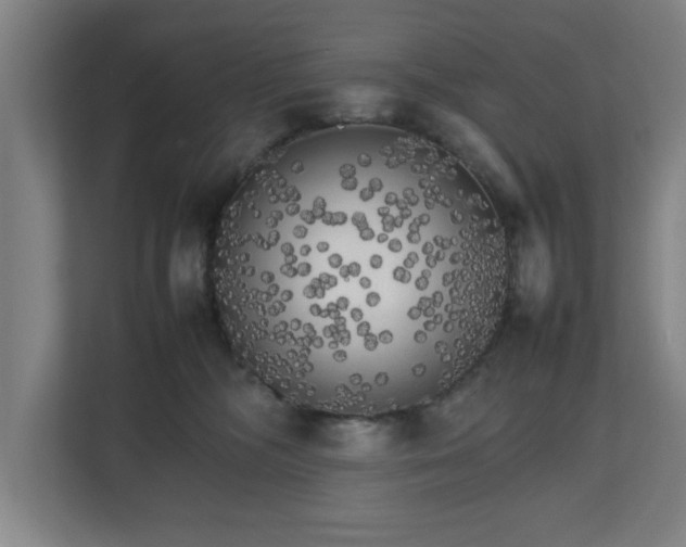 X0000111210326200907081307